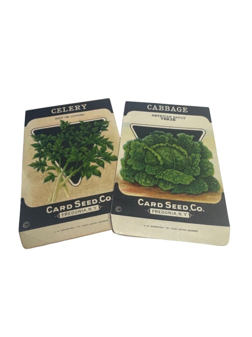 Vintage Card Seed Co Celery & Cabbage Seed Packets Fredonia NY Garden Decor
